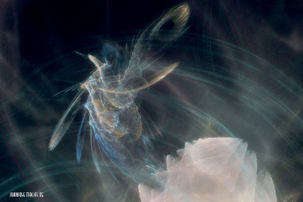 Born, Nacimiento