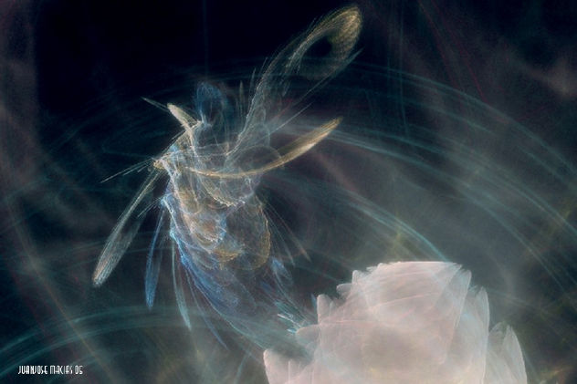 Born, Nacimiento