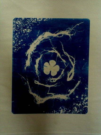Azul planta
