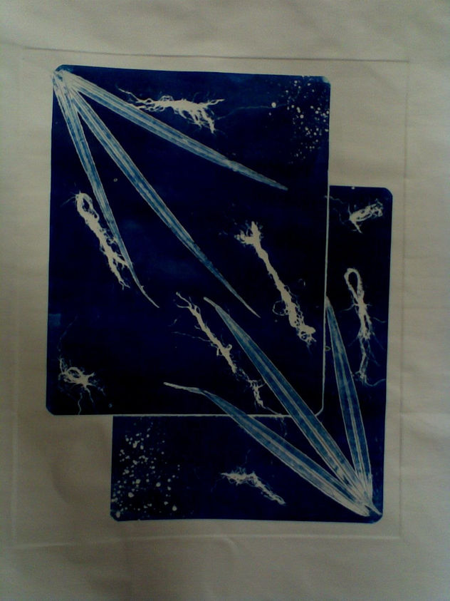 azul planta 2