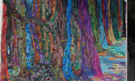 Vida de color