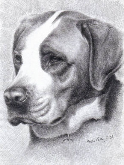 Rosie Pencil