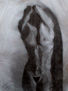 Desnudo