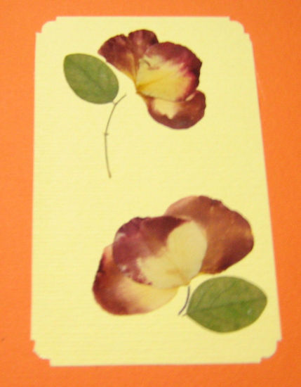 Tarjeta con flores 