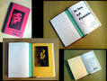 LIBRO DE ARTISTA LE FEU EST FEMININ