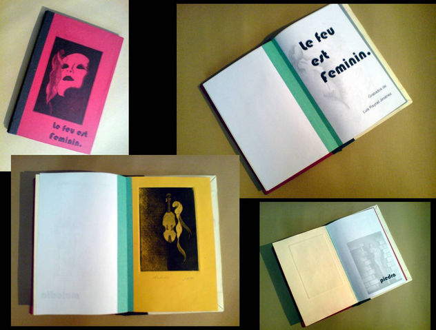 LIBRO DE ARTISTA LE FEU EST FEMININ