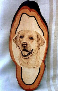 Labrador