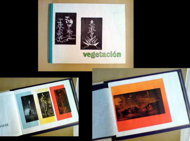 LIBRO DE ARTISTA VEGETACIÓN 