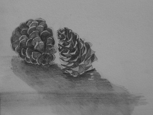 piñas