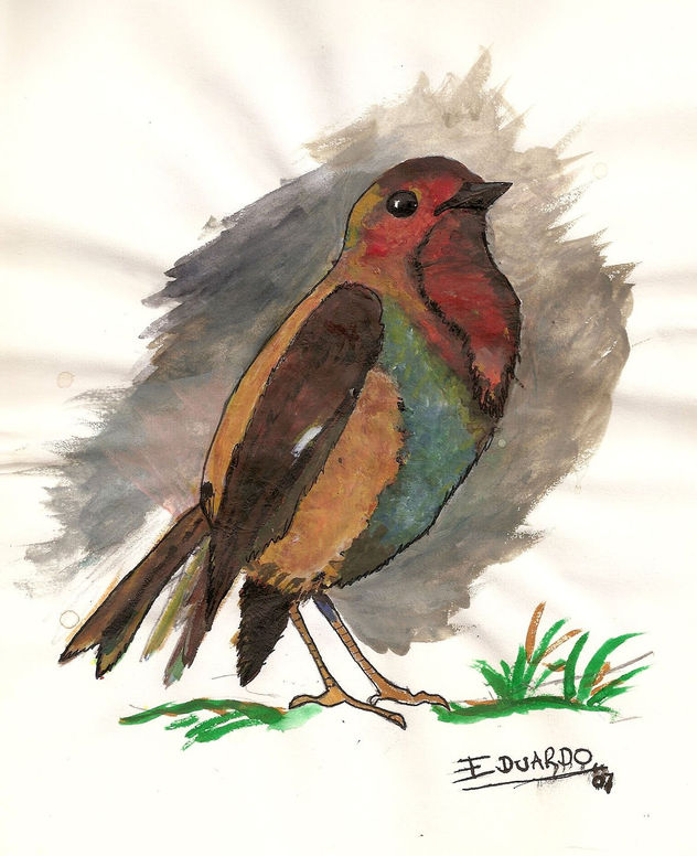 Petirojo