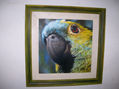 loro