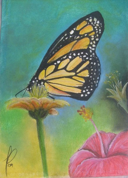 Mariposa