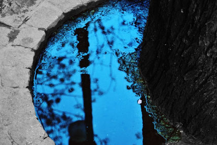 Reflejos