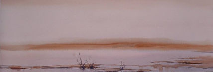 Laguna 1