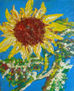 GIRASOL 1