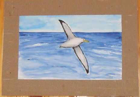 Albatros