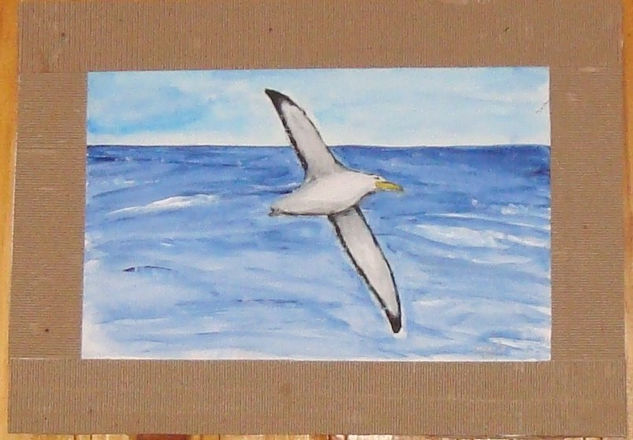 Albatros Watercolour Paper Animals