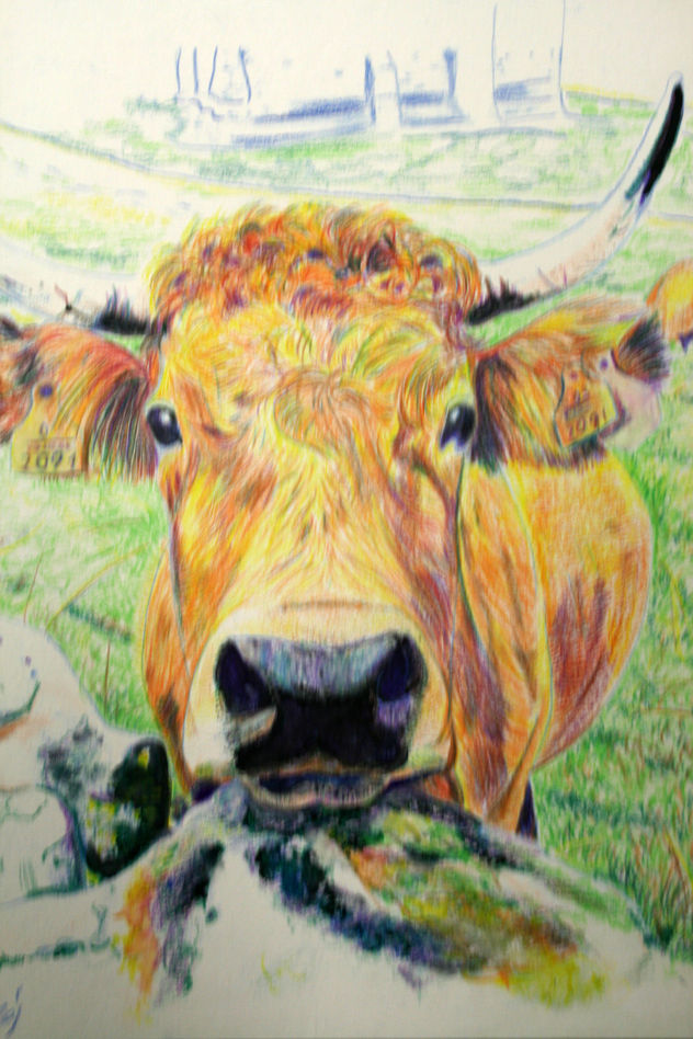 muuu