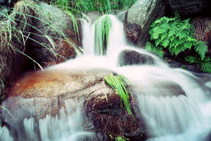 Agua natural 2