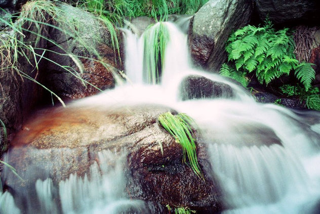 agua natural 2