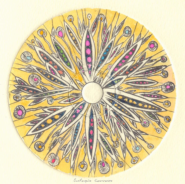 Flor-Estrella