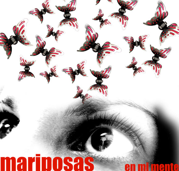 mariposas 