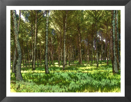 Bosque 2