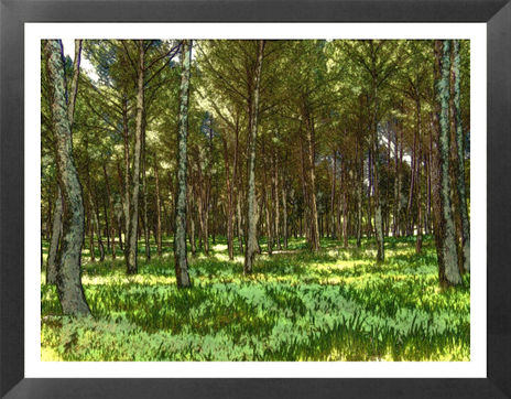 Bosque 2