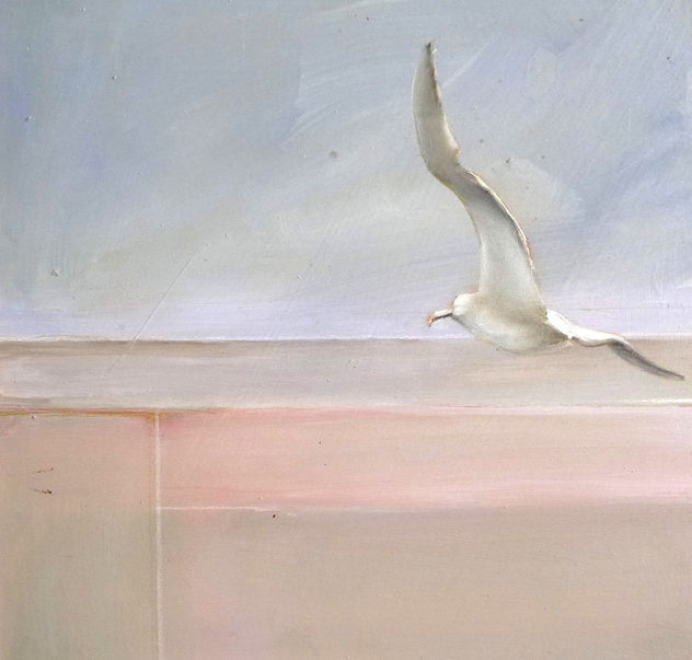 gaviotas 4