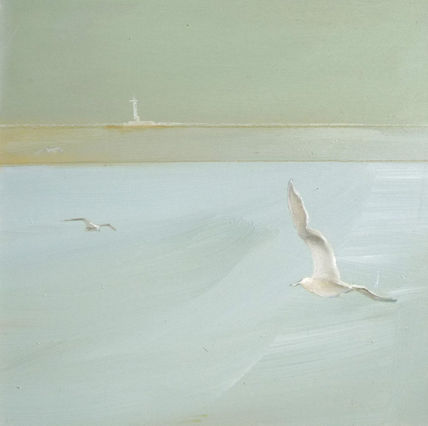 Gaviotas 5