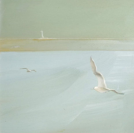 Gaviotas 5