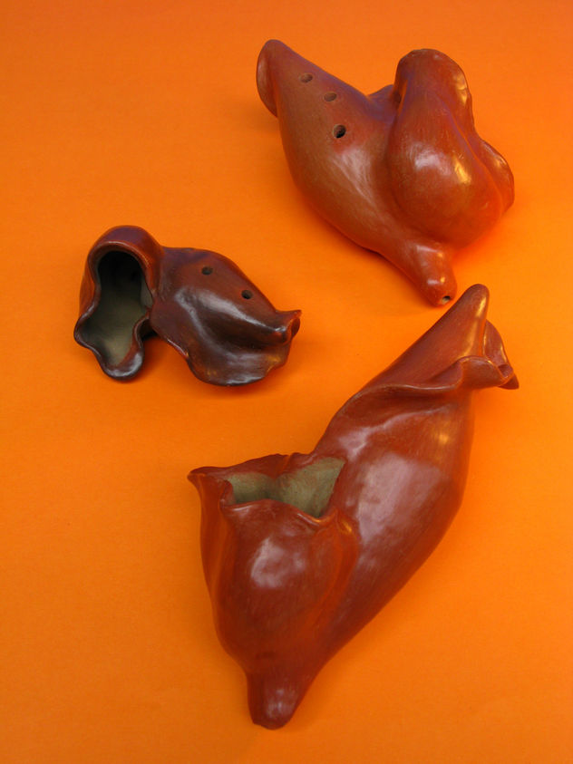 CARACOLAS