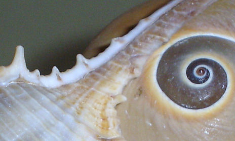 el mar.