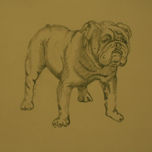 Carboncillo thumbnail 1