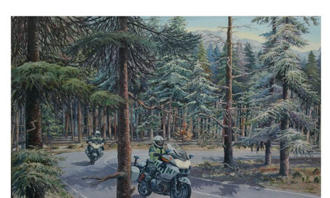 Guardia Civil