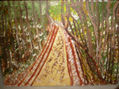 BOSQUE CON SENDERO