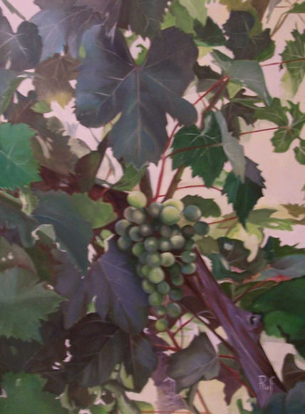 Uvas