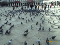 Palomas en venecia