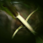 artistic thumbnail 1
