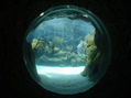 mundo de agua