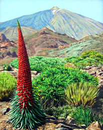 Primavera en El Teide