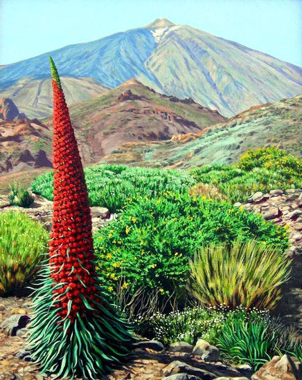 Primavera en El Teide 