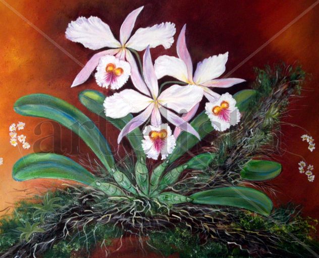 ORQUIDEAS