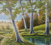 paisaje