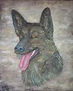 MI PERRO