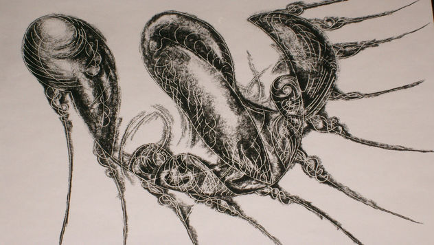 Halcón Negro.