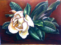 Magnolia