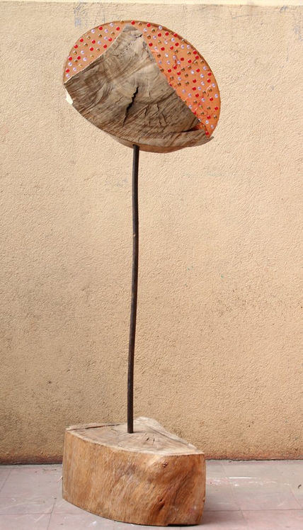 Llaima chilensis