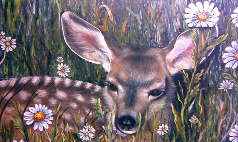 animales