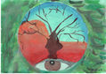Ojo
